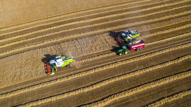 Harvest update: Variable reports so far
