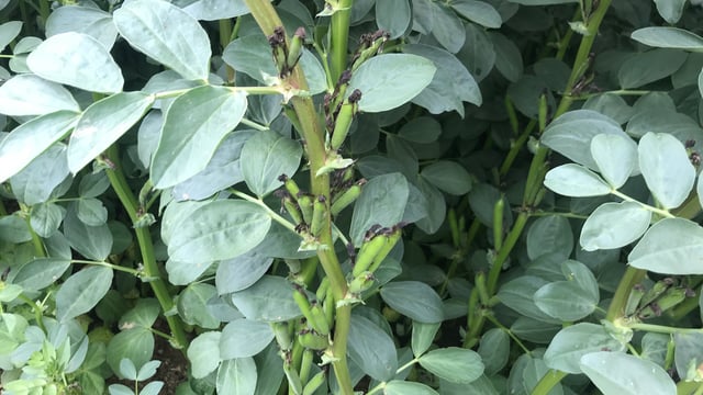Protein Aid Scheme sees a 47.6% increase in applications