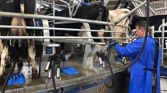 Ornua PPI lifts slightly for June milk amid 'stable returns'