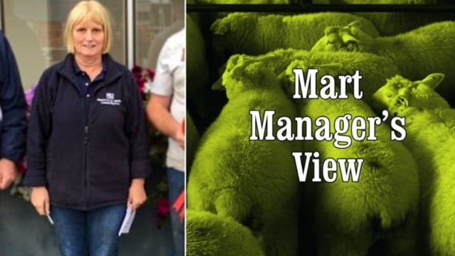 Store lambs the highlight of the sale at Roscommon Mart