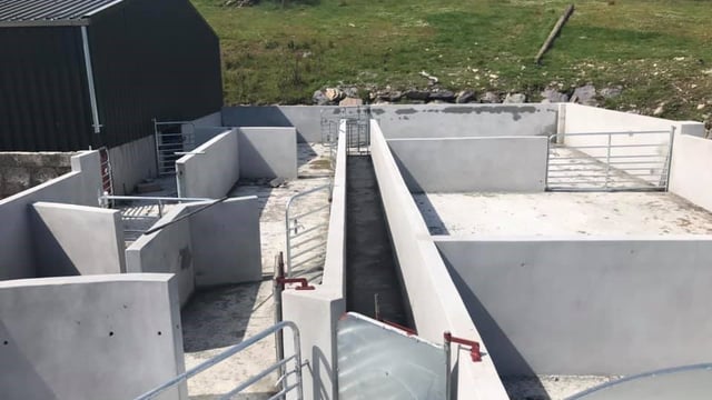 Infrastructure Focus: A brand new handling unit for a 750-ewe flock in Co. Kerry