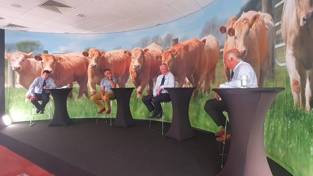'We want to eliminate meal from the finishing period as much as possible' - Sean Roddy
