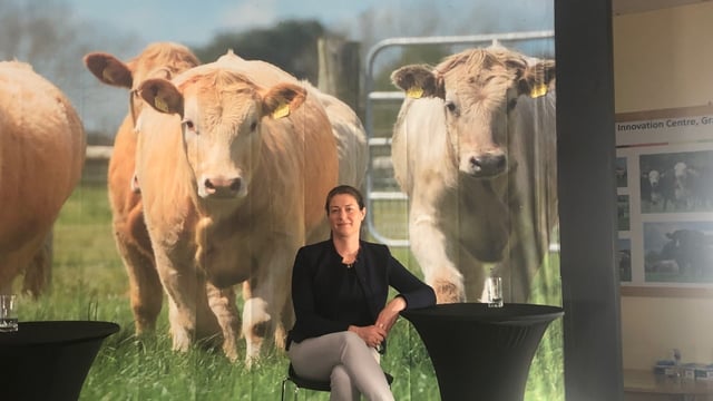 'Anthelmintic resistance is more common on cattle farms than previously thought'