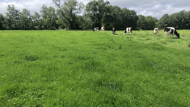 Growth rates continue to exceed demand on many farms across the country