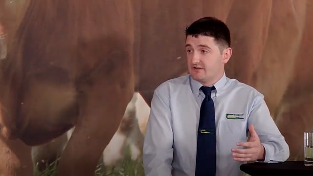 'A common factor across the most profitable systems is the use of grazed grass'