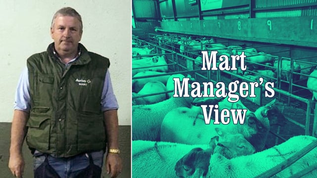 'Factory lambs were back €5-7/head on last week' - Ballymote's Stephen Hannon