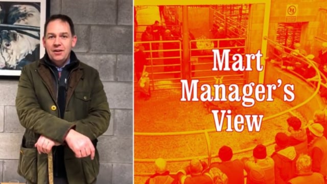 'In comparison to last year, store lambs are €10-12/head dearer' - Carnew's David Quinn