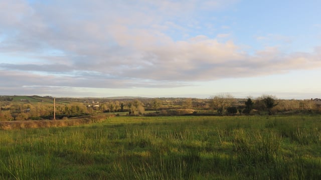 Residence, land and forestry up for grabs with entitlements - in Co. Monaghan