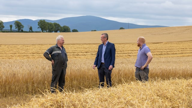 IFA calls on farmers and merchants to use Irish grain