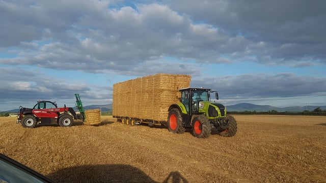 Straw: Demand strong, but early days for prices