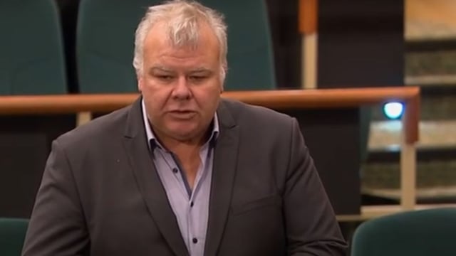 Fitzmaurice: Farmers would be 'unduly affected' by Mercosur deal