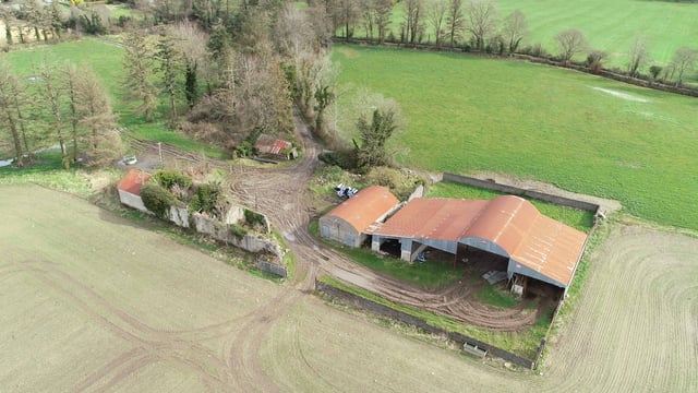 3 separate lots spanning 188ac to go on the block in Co. Carlow