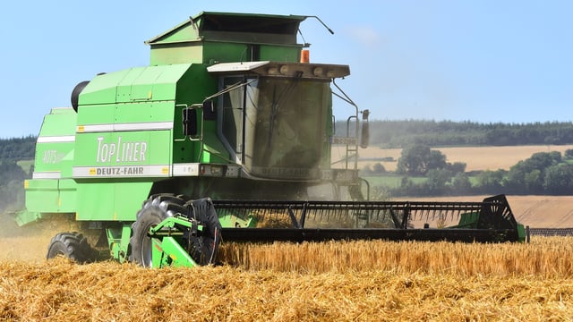 Barley accounts for 57% of all tillage crops planted in Ireland