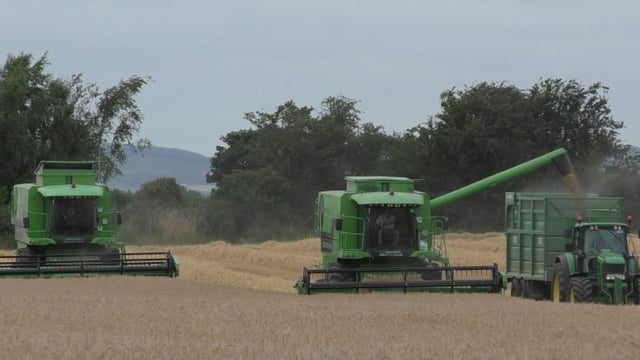 Winter barley yields 'very poor' - Teagasc