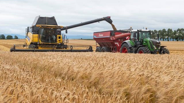 Watch: Cutting away in Tipperary as weather holds