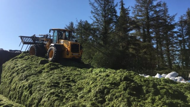 'Last year silage quality would have slipped and I paid the price in feeding meal'