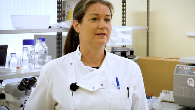 'It’s important that we reduce our reliance on anthelmintics'