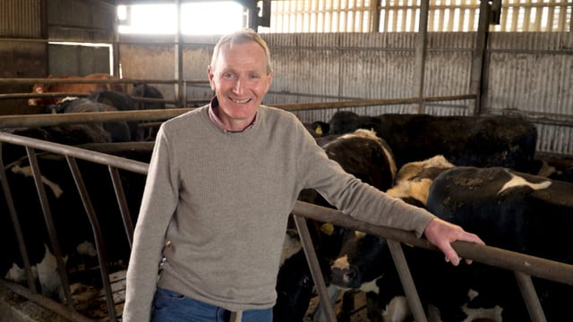 Making beef and tillage enterprises work hand-in-hand