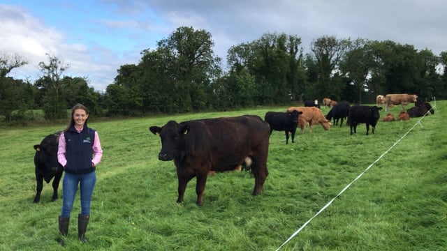 'Beef price must be addressed urgently'