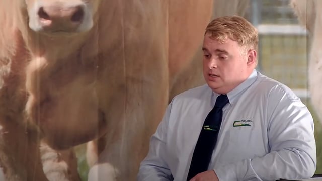 How are the Teagasc Green Acres Calf to Beef Programme farms performing in 2020?