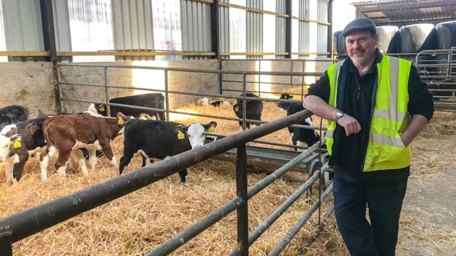 'The biggest change I made was dividing the place up into better paddocks'
