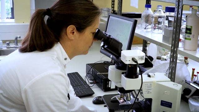 Farmer volunteers sought for health-based university study