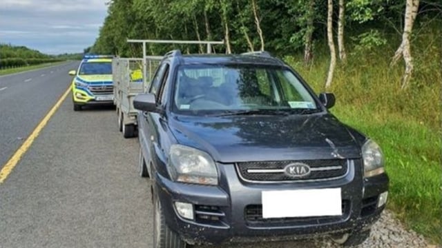 Driver of 4X4 towing trailer reined in after 'dummy' deed