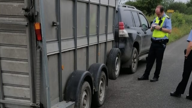 Driver towing livestock trailer arrested following Garda stop
