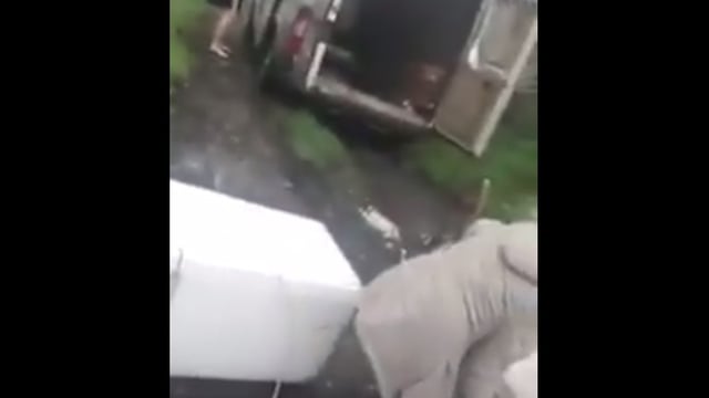 Video: Man confronting alleged illegal dumpers goes viral