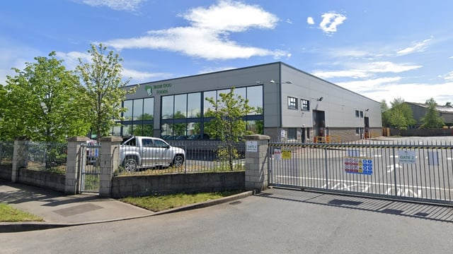 Irish Dog Foods closes Naas plant after employees test positive to Covid-19