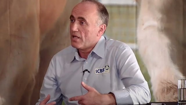 700,000 suckler cows and calves will be weighed in 2020 as part of BEEP - ICBF