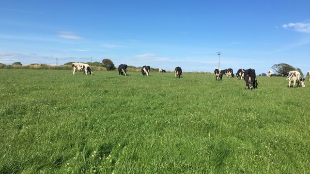 Grassland management: Maintaining grass quality and fertiliser use