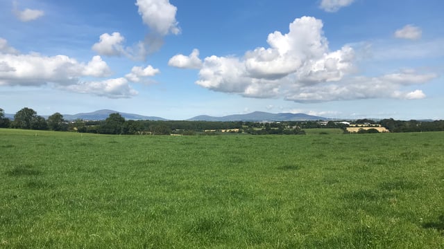 57ac Enniscorthy holding with derelict bungalow for auction