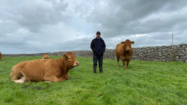 'I can look at any breed and I appreciate every breed; the best of any breed I will admire'