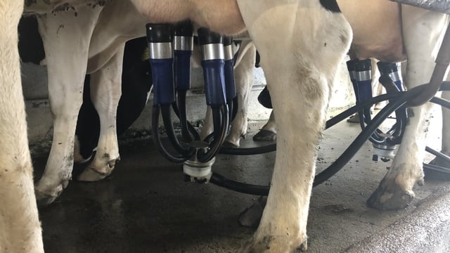 Reminder: Might be time to change those milk liners
