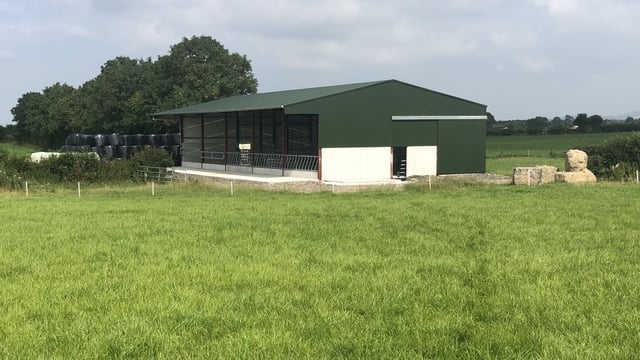 Buildings Focus: A tidy 5-bay slatted unit with a lieback area in Co. Tipperary