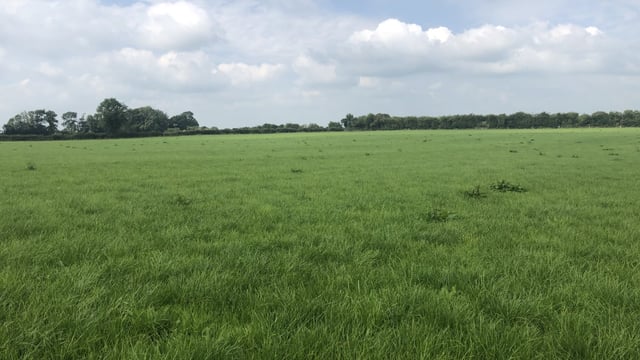 Autumn grazing targets: Are you on track or falling behind?
