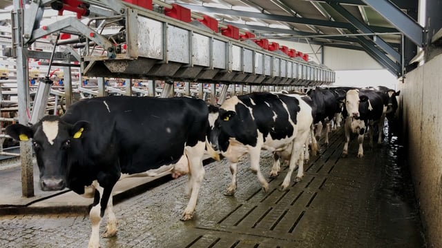 Rebuilding agriculture’s reputation: Now's time to get back on the front foot