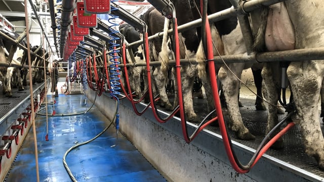 Milk Price Tracker: Which co-op came out on top for July's milk supplies?