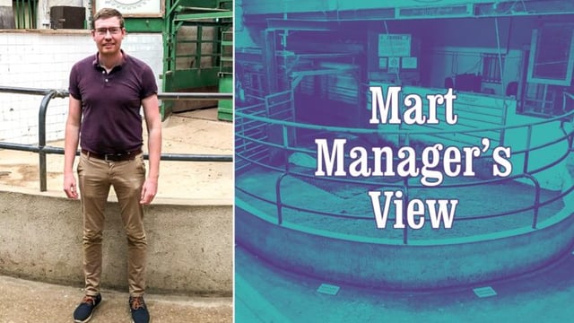 'Factory-finished lambs saw a big lift of €5/head on last week' - Kevin Murphy