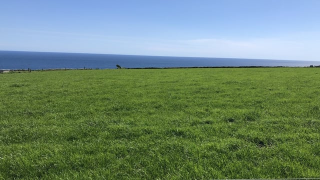 Grass advice: Time to think about building covers for autumn