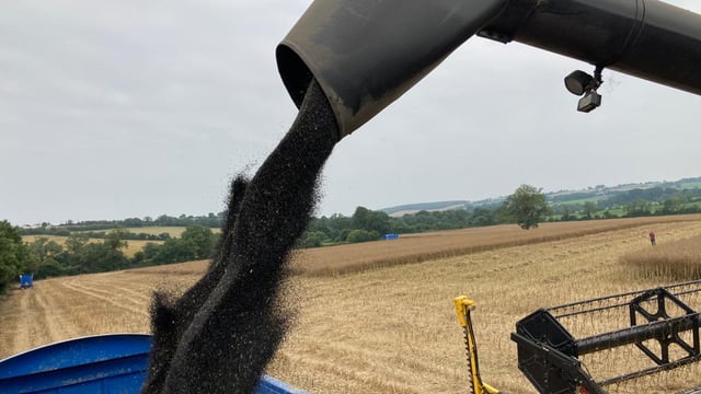 Winter OSR and barley harvest almost wrapped up in NI