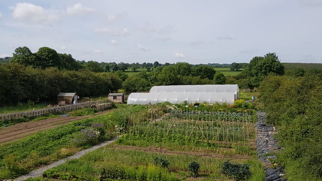 'Interest surge in local food grown using regenerative methods'