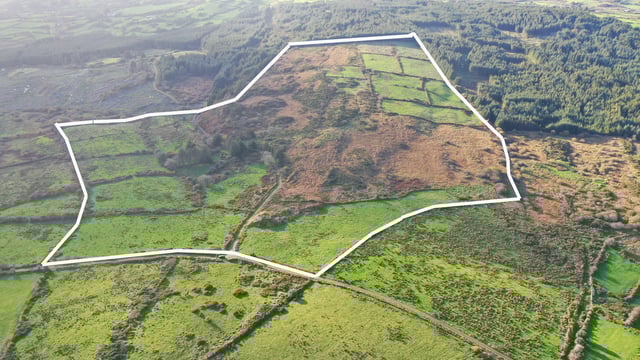 Price tag: 73ac farm in west Cork guiding at €3,424/ac