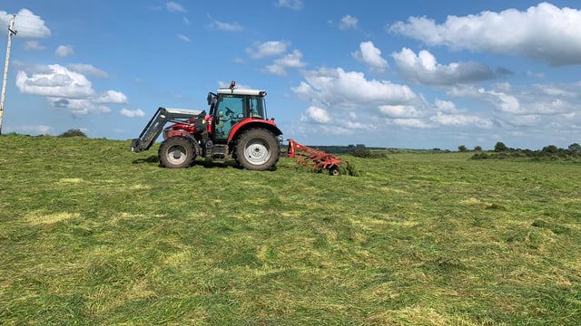 Wilting silage - is it worthwhile?