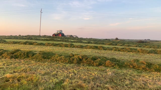 How to target 'high-quality silage' for sheep farms this winter - specialist