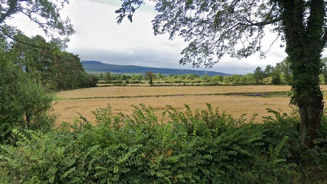 70ac with cottage and farm buildings on the market in Mallow