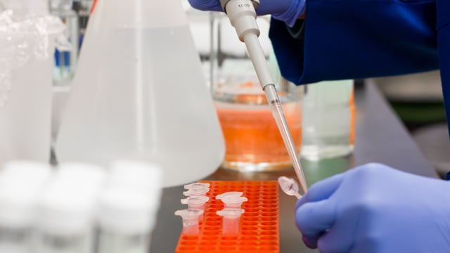 Quicker Covid-19 test result turnarounds 'vital' in keeping supply chain open