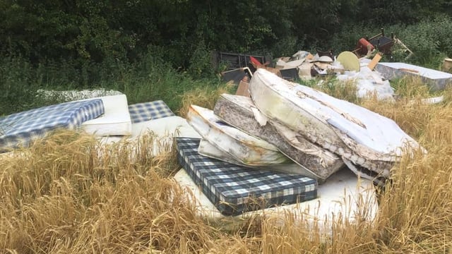 Dumping problem attracting 'a mountain of rats'
