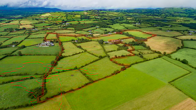 61ac with 'high value' entitlements at Mitchelstown for sale
